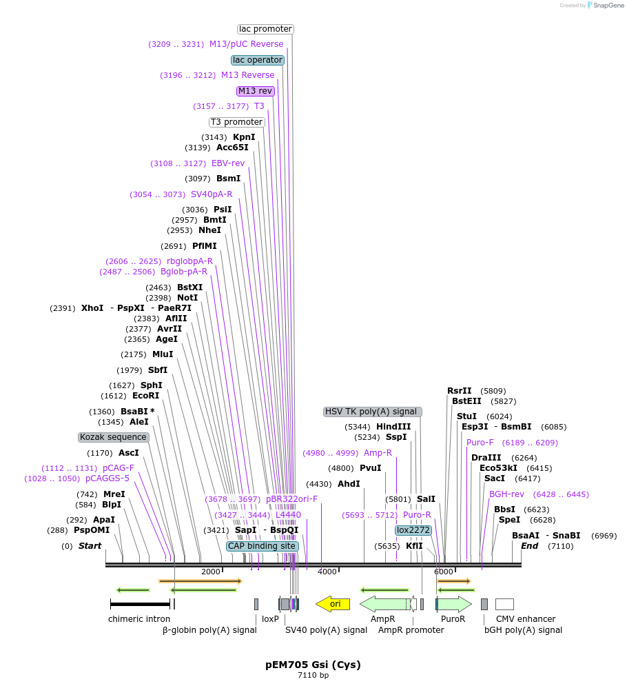210333_map