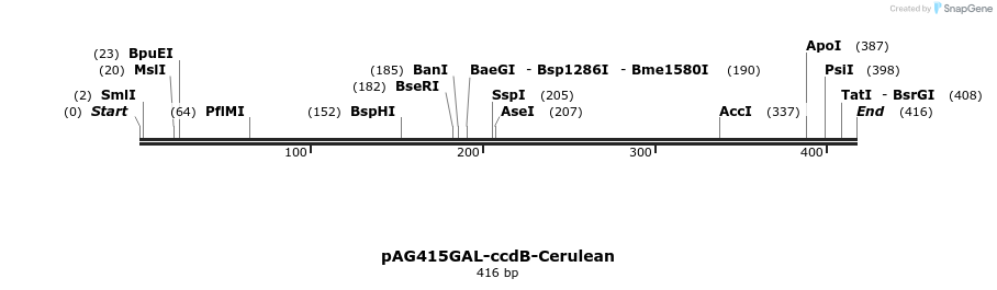 21037_map