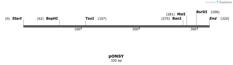 210371_map