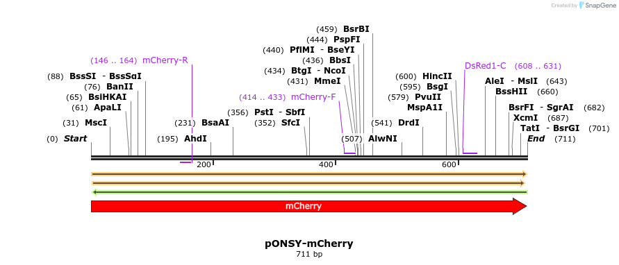 210373_map