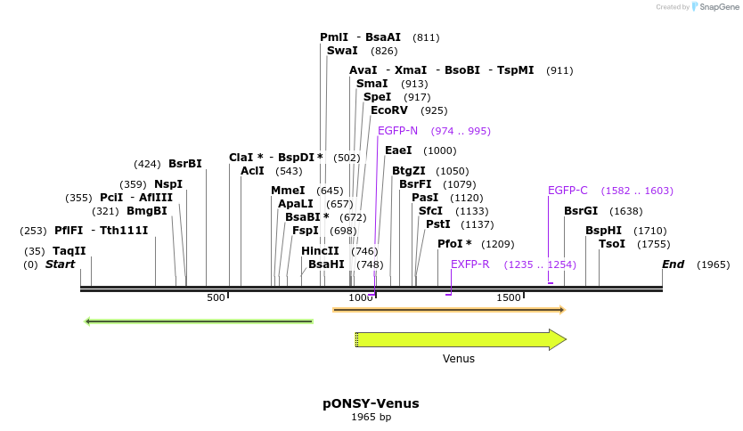 210376_map