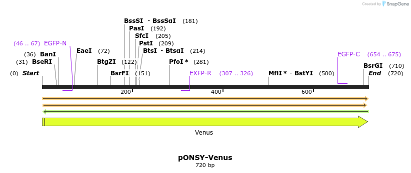 210377_map