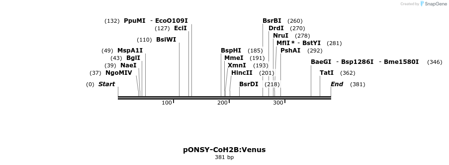 210384_map