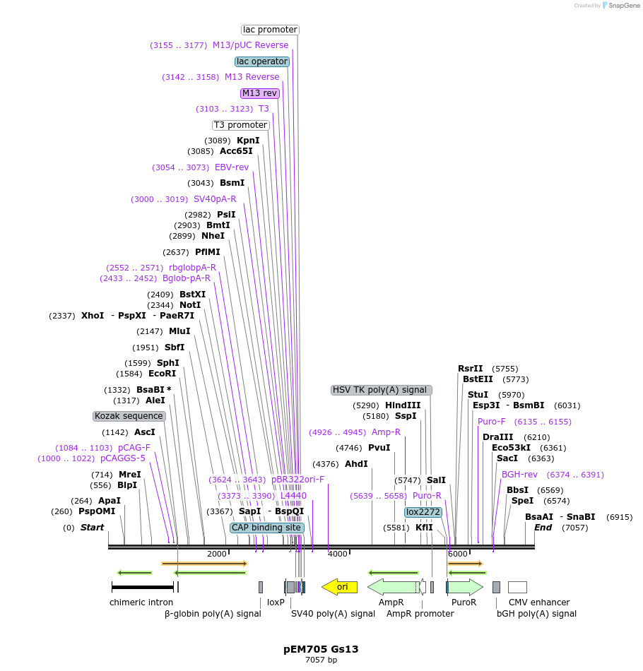210404_map