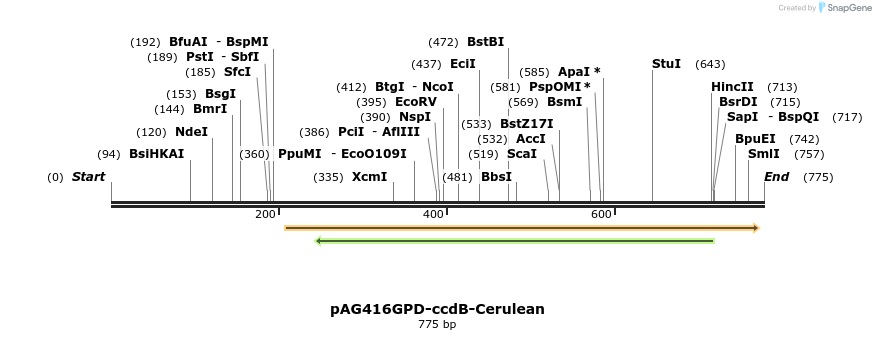 21046_map