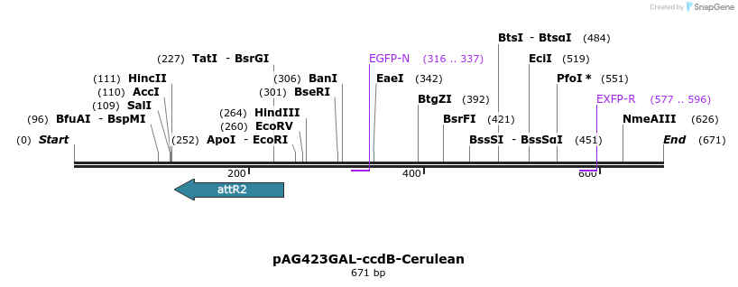 21051_map