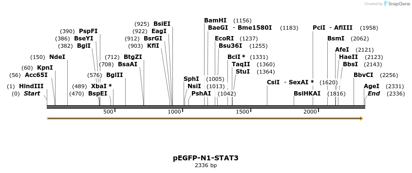 210523_map