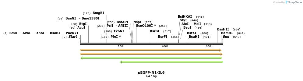 210526_map