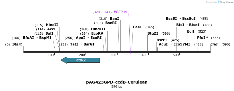 21054_map