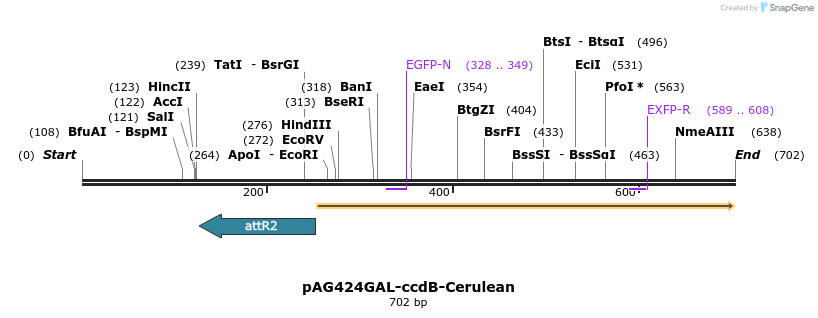 21057_map