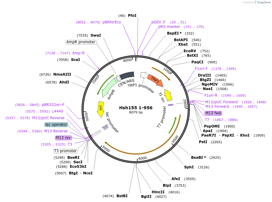 210597_map