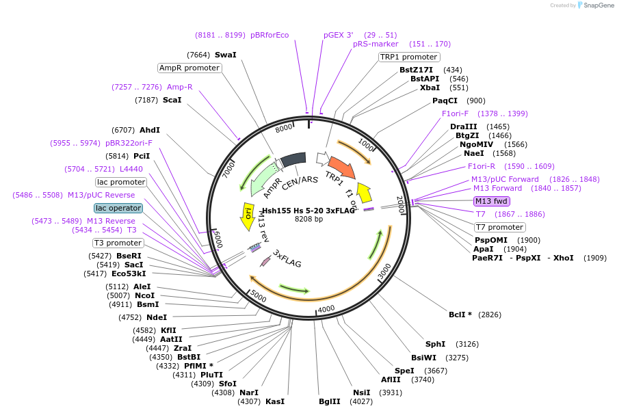 210612_map