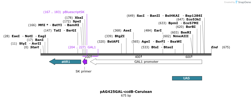 21062_map