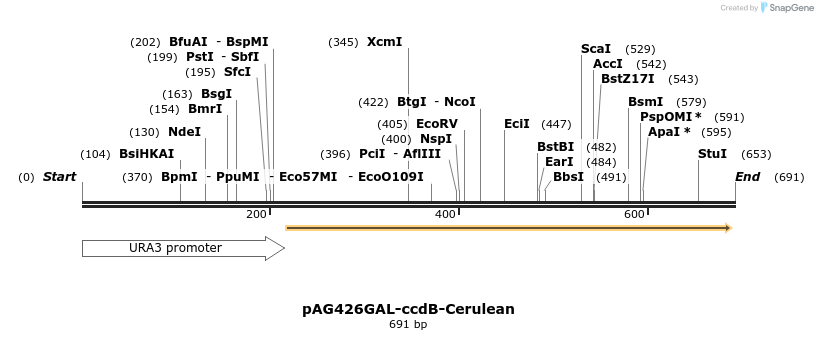 21067_map