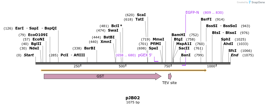 210715_map