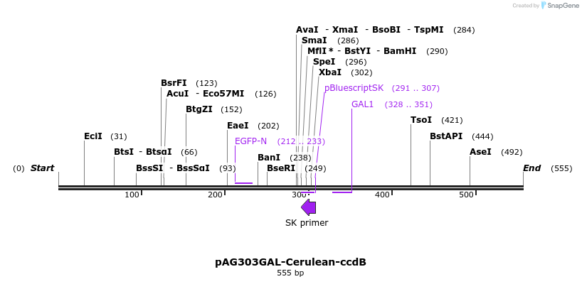 21074_map