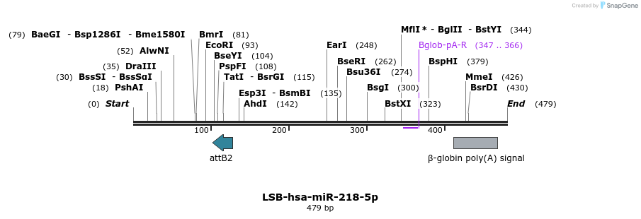 210796_map
