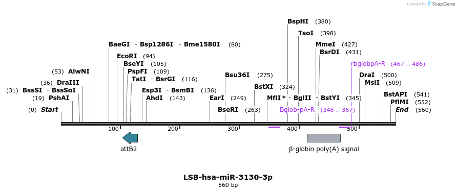 210804_map