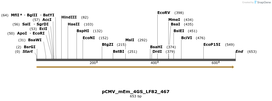 210805_map