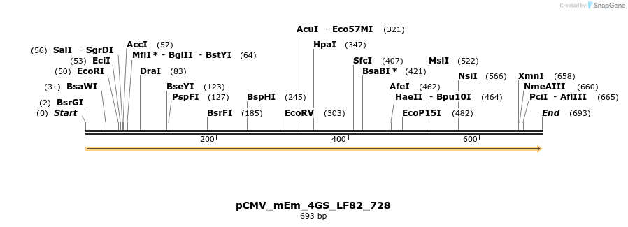 210806_map