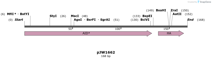 210819_map