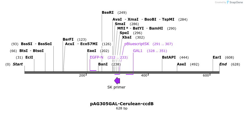 21082_map