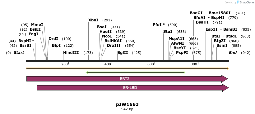 210823_map