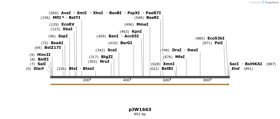 210824_map