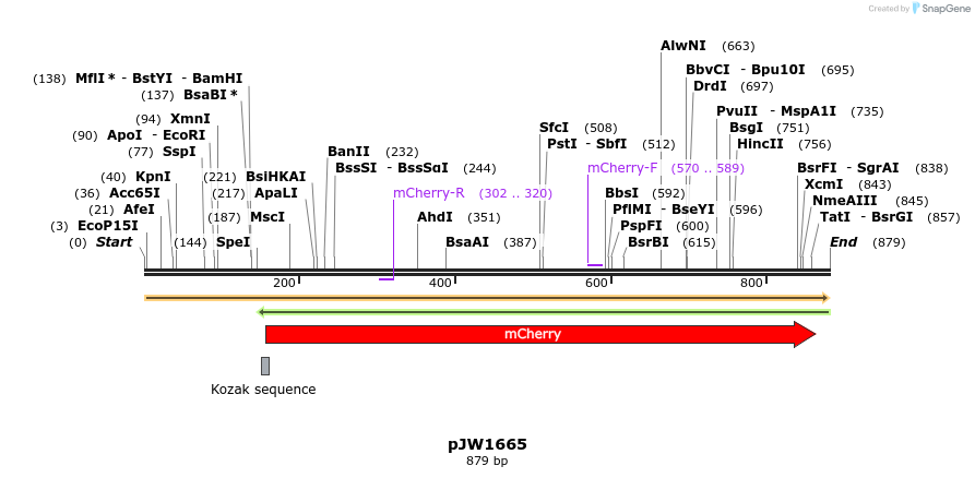 210827_map