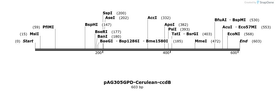 21083_map