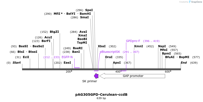 21084_map