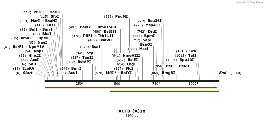 210860_map