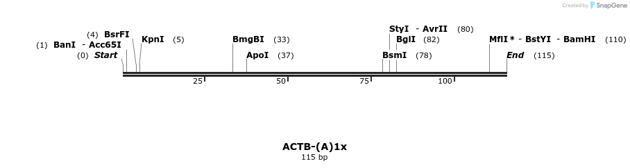 210861_map