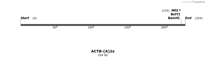 210864_map