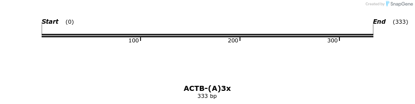 210867_map