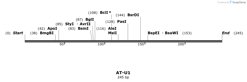 210871_map