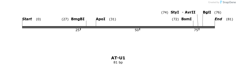 210872_map