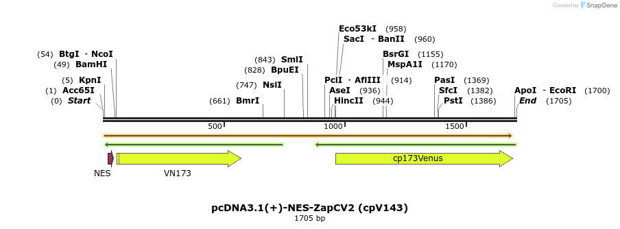 210874_map
