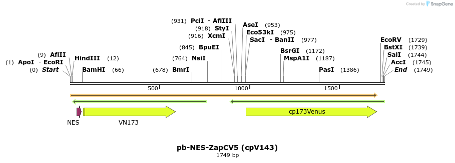 210875_map