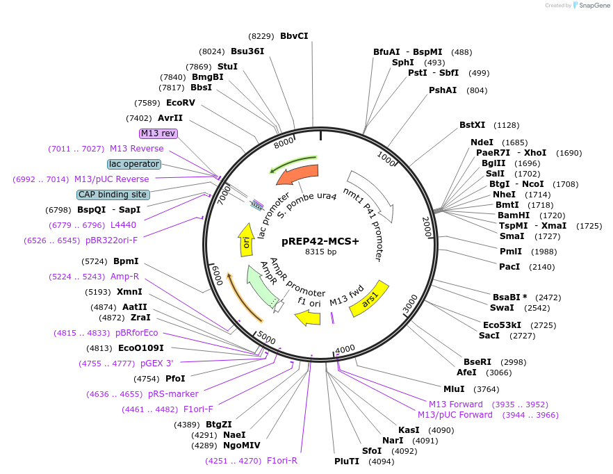 210876_map