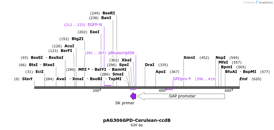21088_map
