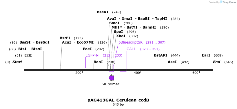21090_map