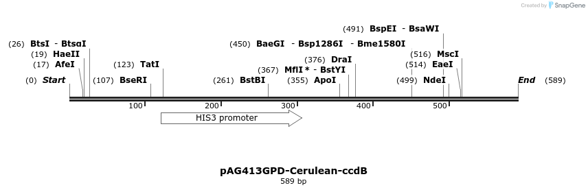 21091_map