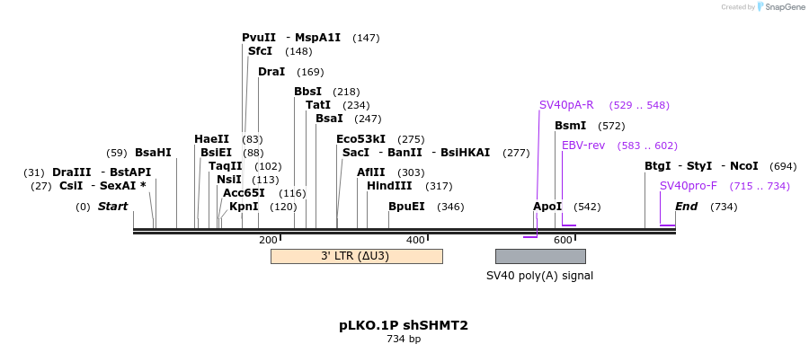 210922_map