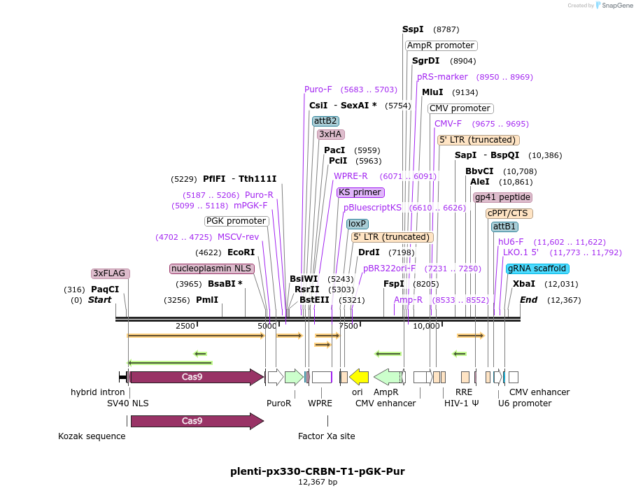 210929_map