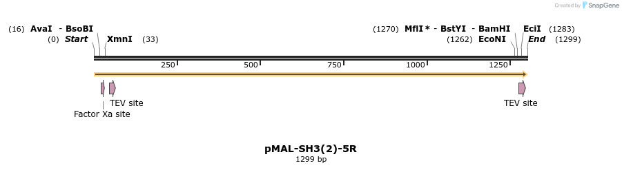 210973_map