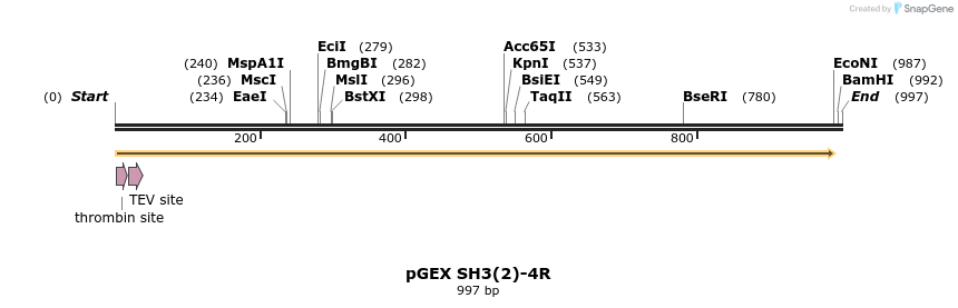 210975_map