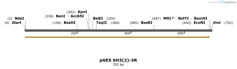 210976_map
