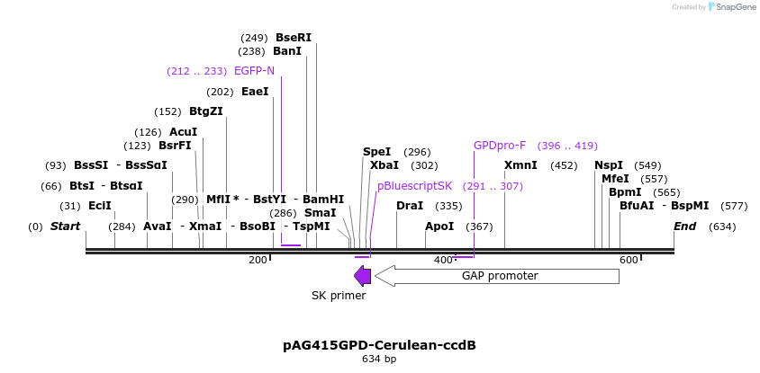 21100_map