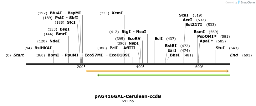 21101_map